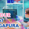 prosedur berobat ke singapura