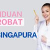 Panduan Berobat ke Singapura