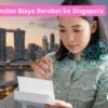 Rincian Biaya Berobat ke Singapura
